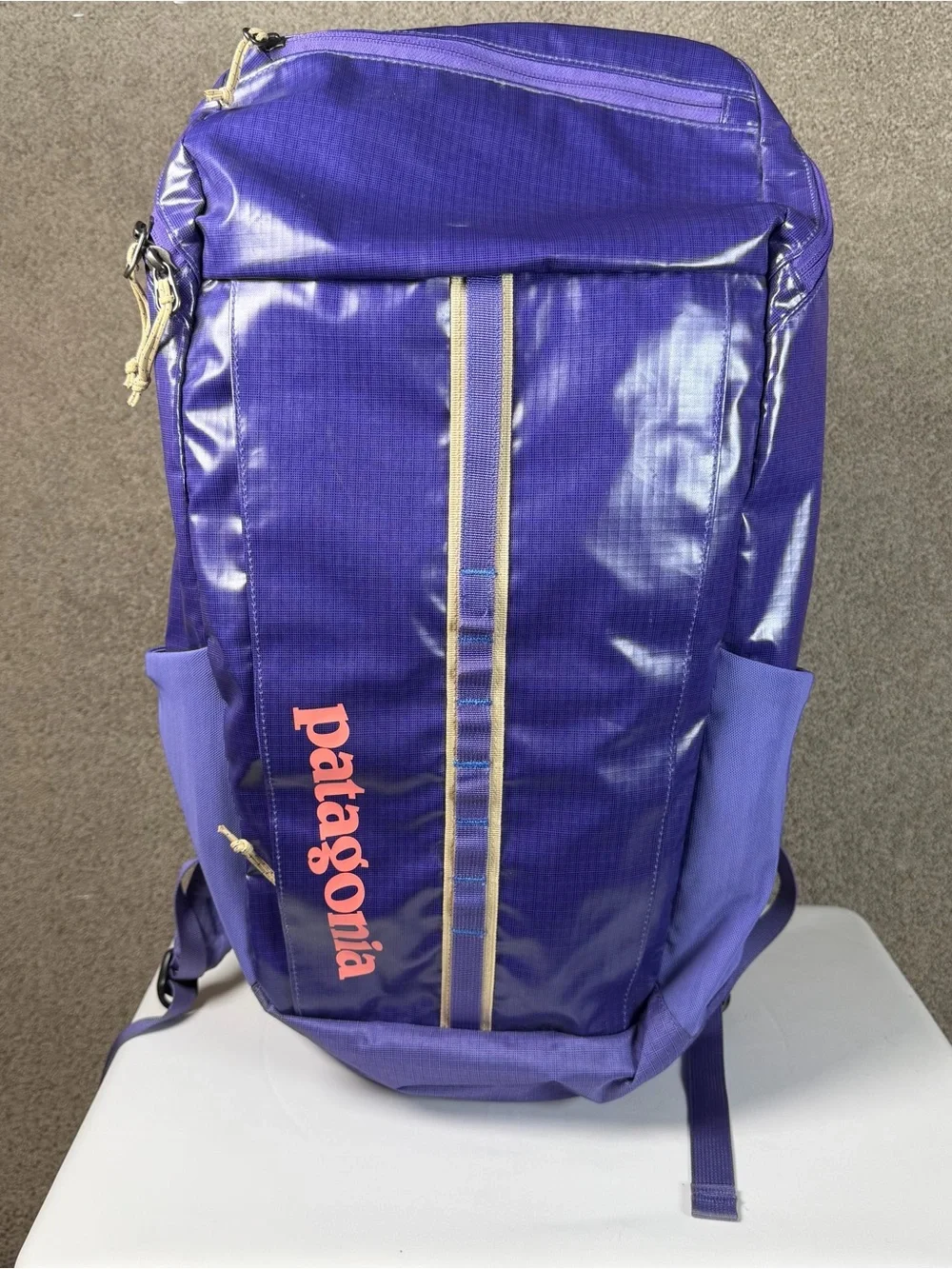 Patagonia Black Hole 25L Backpack Purple EUC